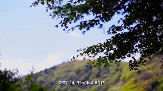 报考医学专业需要提前了解清楚哪些信息？有哪些地方需要慎重？游戏画面